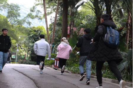 202211202306166302.png 202211202306166302.png