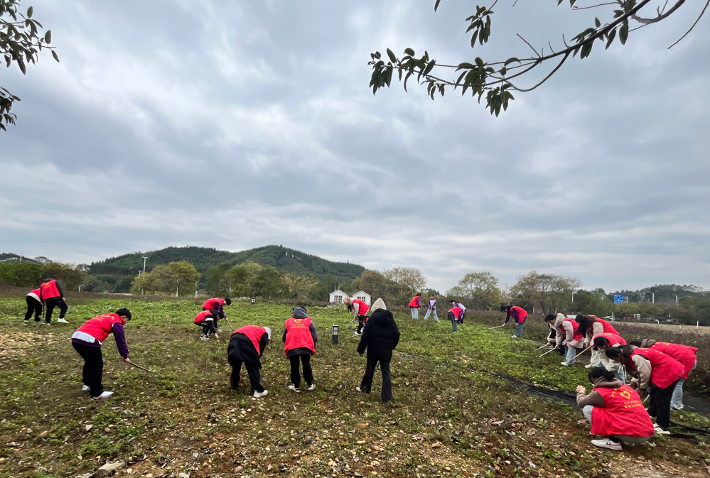 2eb7f1679e2a1292706c7aa3e5f0d0cd