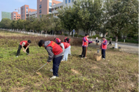 除草护绿践志愿，劳动育人筑初心 —— 汽车工程学院青田劳动园除草志愿服务活动顺利开展